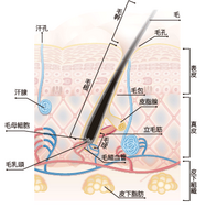 2013-02-20_014102.png